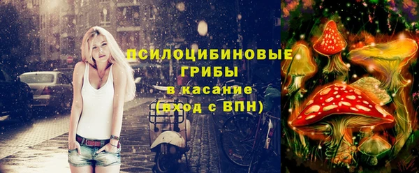 дживик Зеленокумск