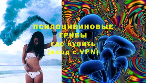 дживик Зеленокумск
