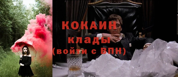 дживик Зеленокумск