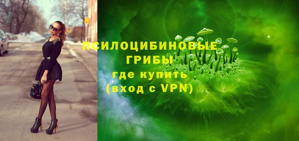дживик Зеленокумск