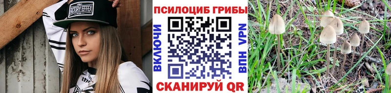 Купить где  Арск  Галлюциногенные грибы GOLDEN TEACHER 
